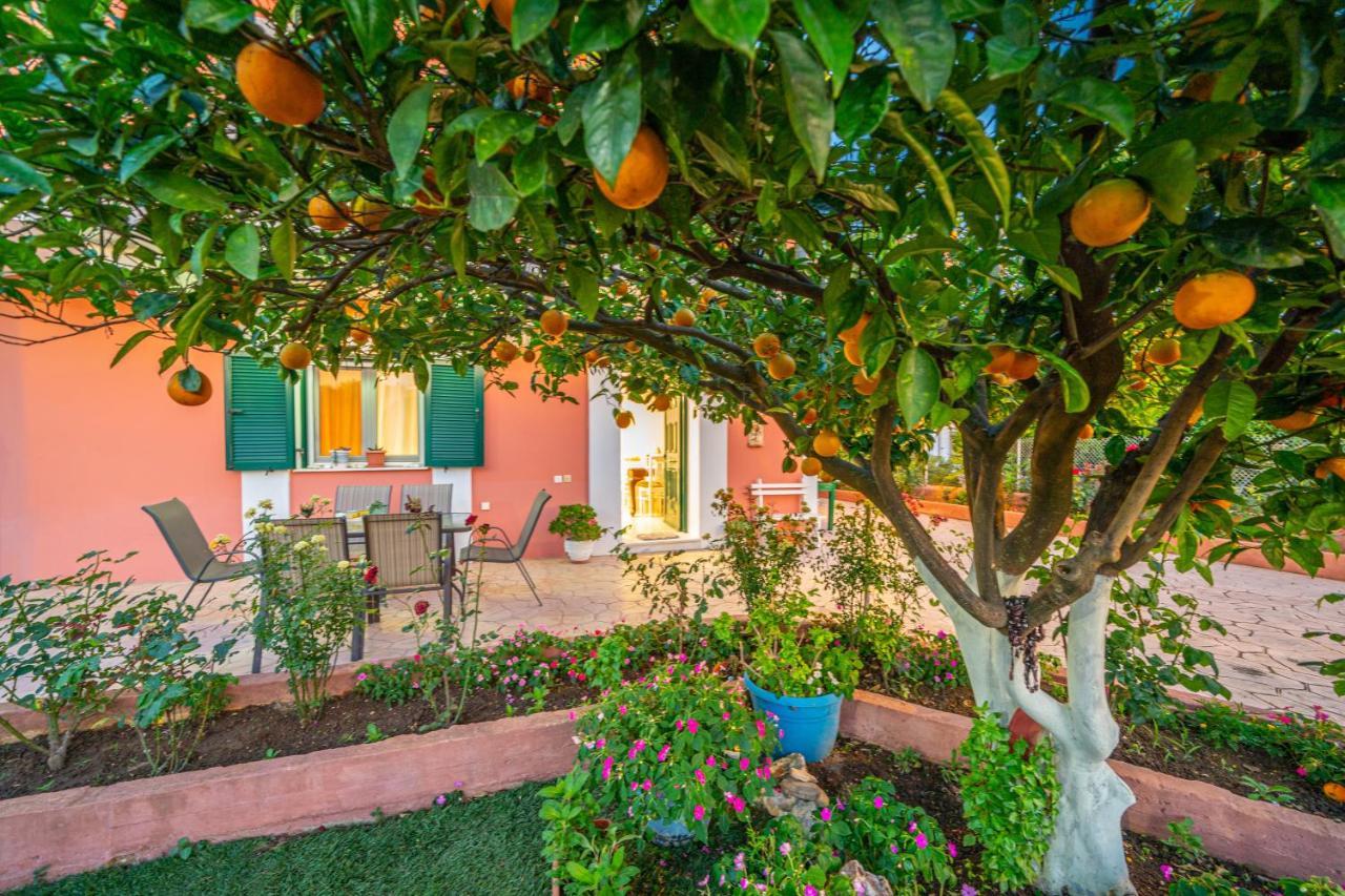 Artemis Superb 2 Bedroom Apartment 700 M Away From The Beach Miniá Kültér fotó
