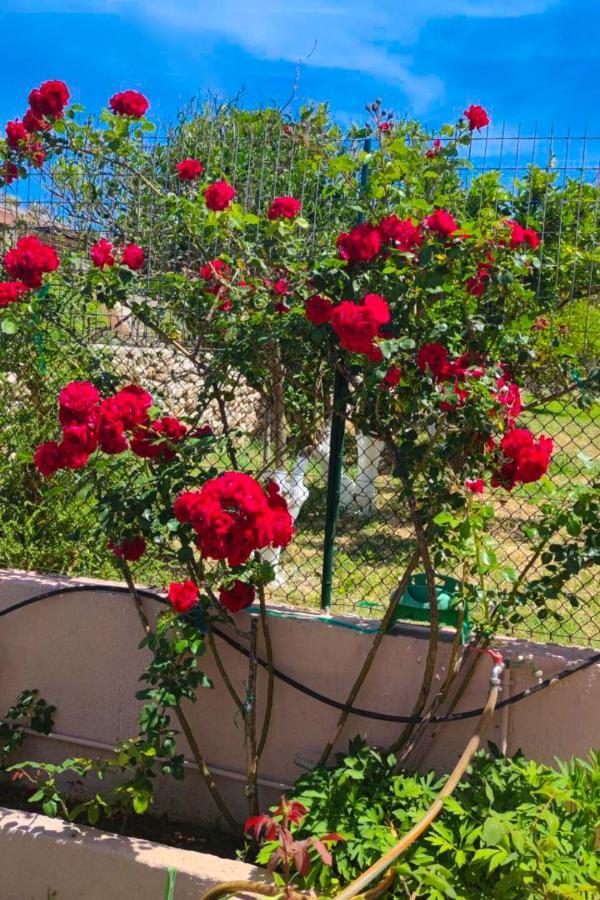 Artemis Superb 2 Bedroom Apartment 700 M Away From The Beach Miniá Kültér fotó