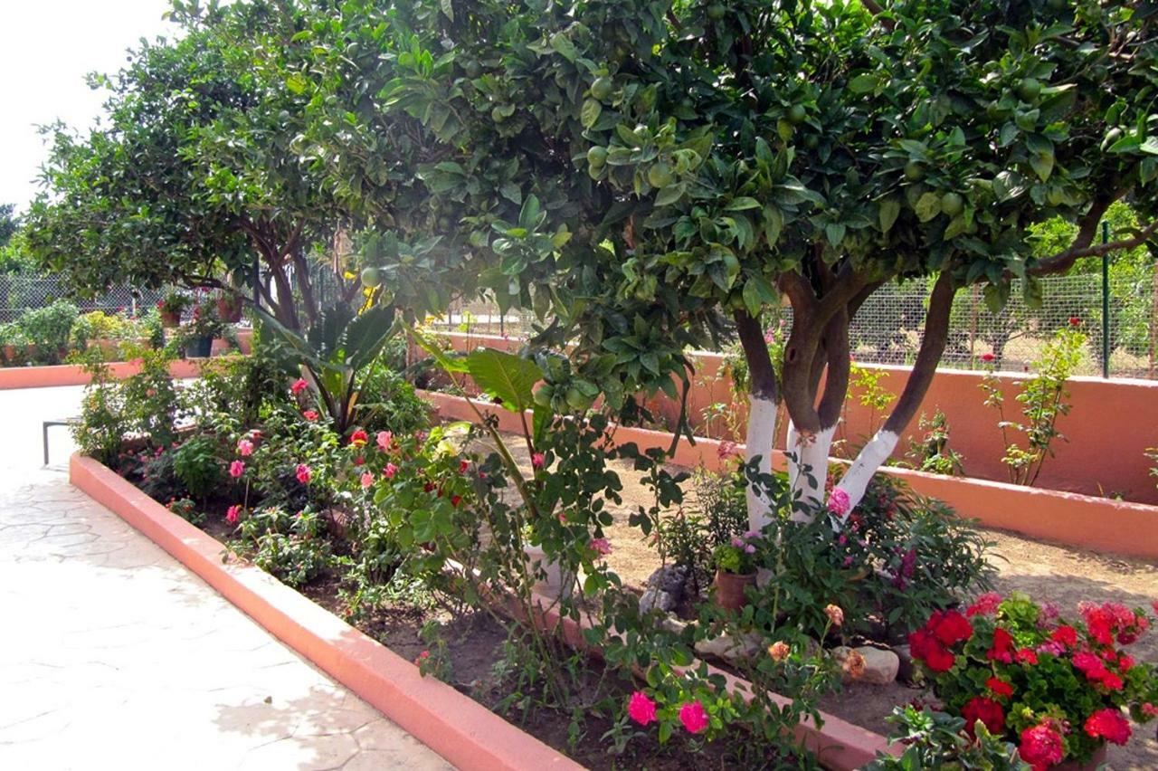 Artemis Superb 2 Bedroom Apartment 700 M Away From The Beach Miniá Kültér fotó